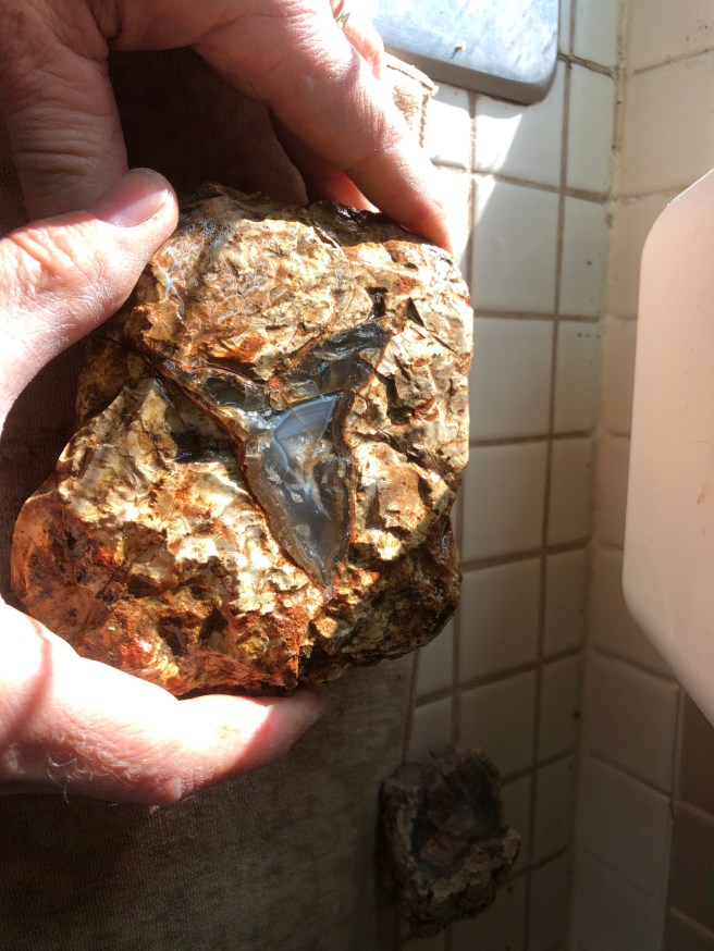 56e99049-7182-479b-a480-cbbae1c09474-1003-000002339b89aab6_file