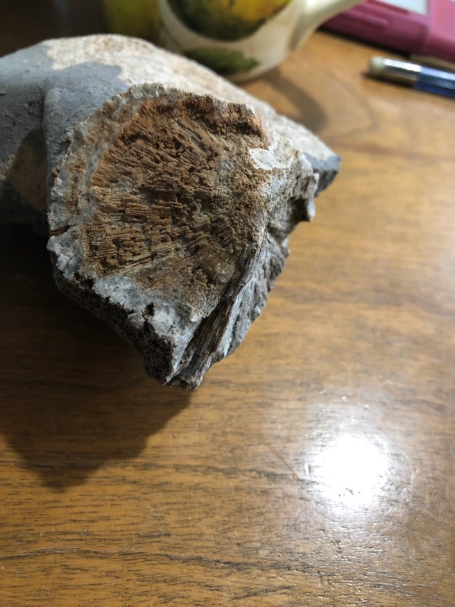 c8dabb64-8b09-4575-827a-8528a6a03ff0-2574-0000039ab9b76e2a_file