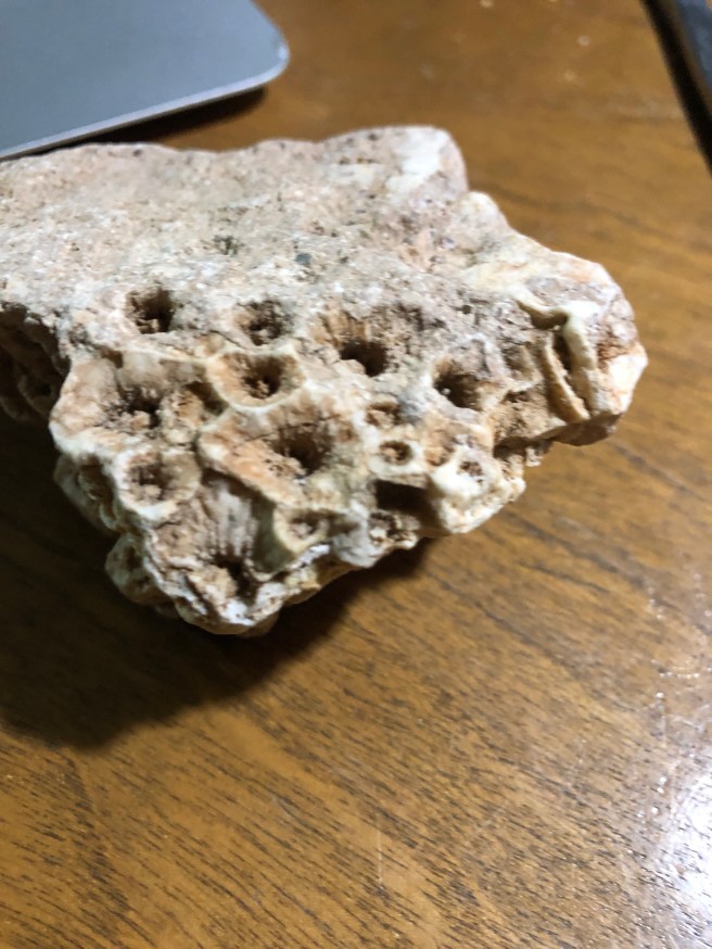 f39c7388-a78c-48a5-afd0-686c026eac6e-687-0000008a2a2ae11b_file