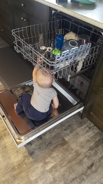 82060130_494579537861261_6431095638879895552_n