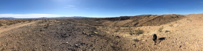 sDpVybZ2TtmPKQ9RcaHwNg