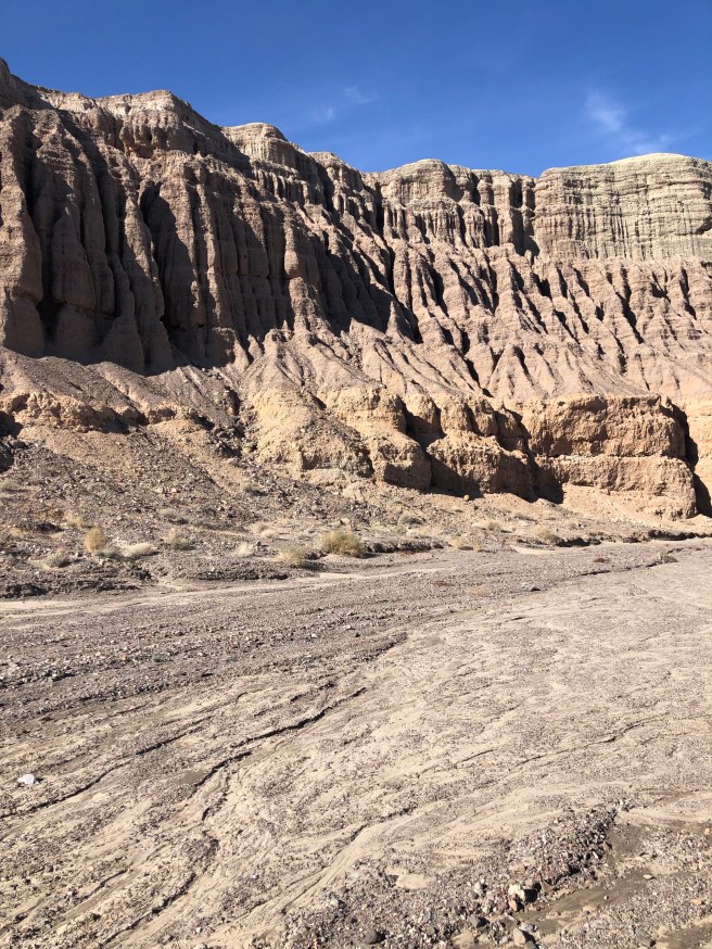 w1errOZQRMSm5h8lhp%JQA