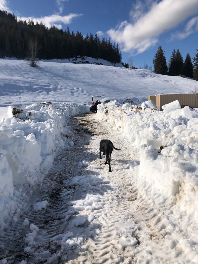 8KygV4eAROifvCgzo8eLWw