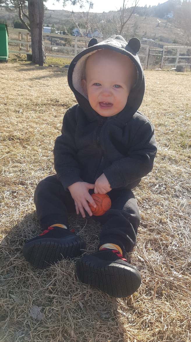 91820178_2931128700289063_6554641335222009856_n