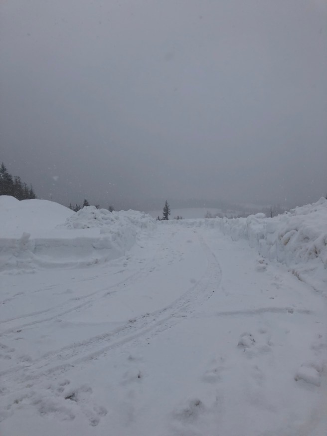 fRHVQuELQba2ey2ji%KHwQ