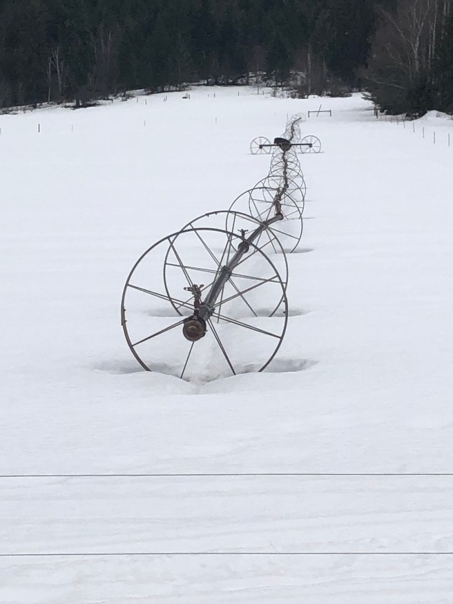 OoKCLjWwR4SwYwmtkmawKA