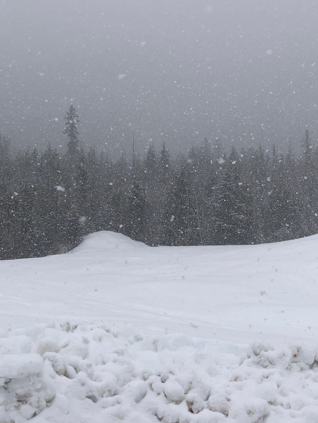 PCJzsATKSkehy01YkTrs9A