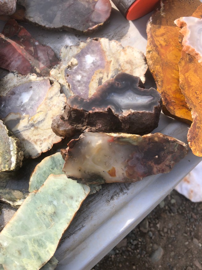 4269b2b0-2d1f-473a-99a3-849593778e31-320-00000021af8cf679_file