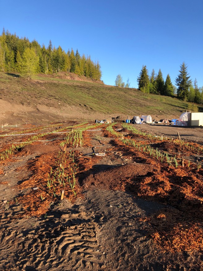 bca0f730-f672-4bc3-8869-4ae1c4459c53-888-000000a1589cf0bc_file