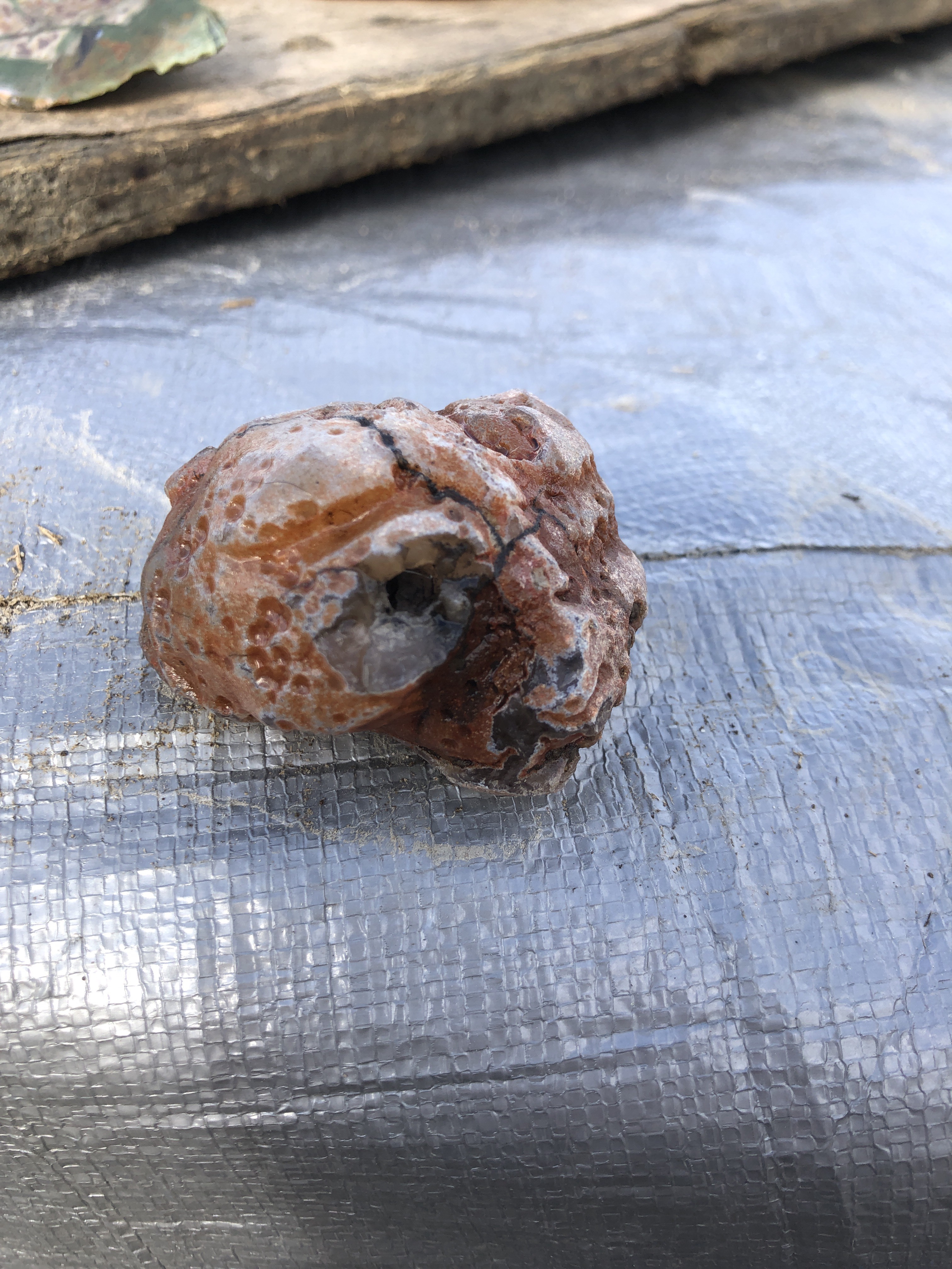 e7fb4458-78c3-4a8c-9136-ad1ebd53a4da-4368-00000359a4ecc368_file