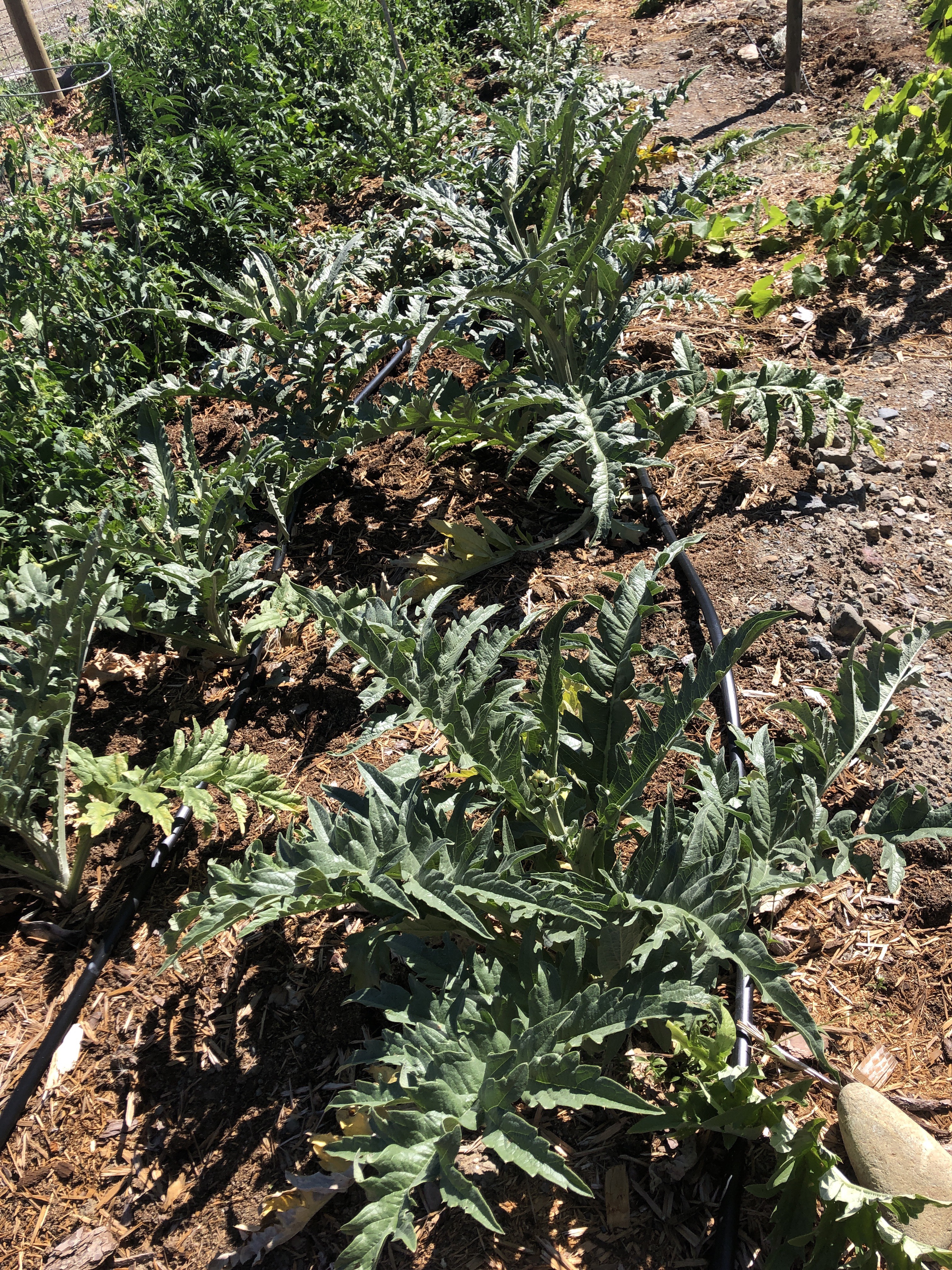 f50fee0b-c289-4ba1-b442-3f4ef14f62ab-5044-00000601c1527456_file