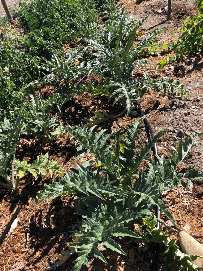 f50fee0b-c289-4ba1-b442-3f4ef14f62ab-5044-00000601c1527456_file